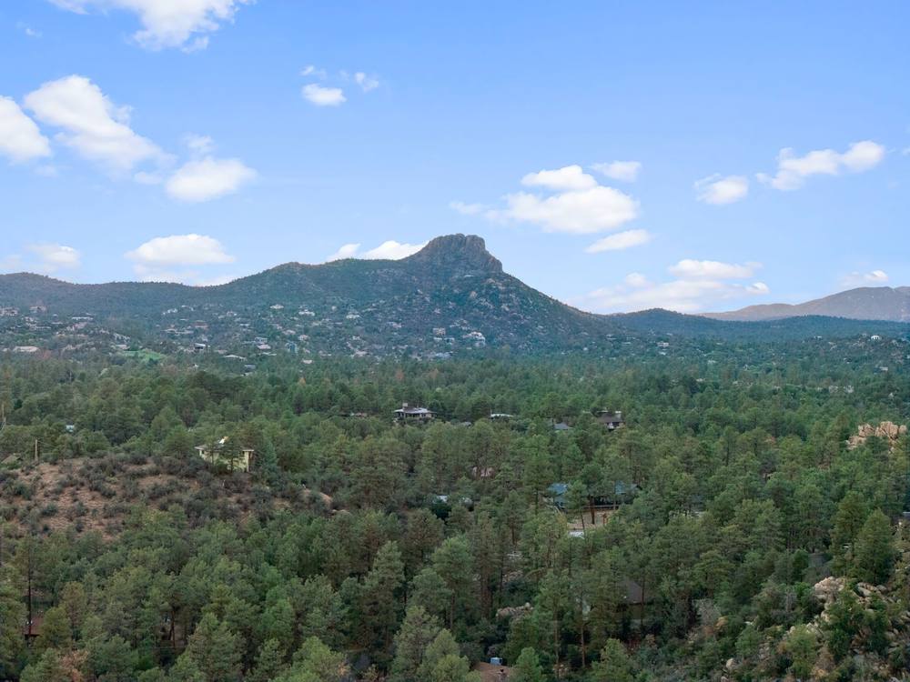 Aerial view of the property in the forest